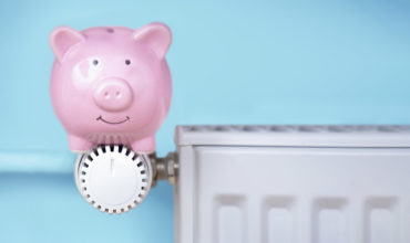 cochon économie chauffage